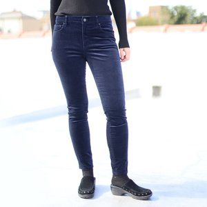 Ann Taylor Dark  Blue Navy Velvet Skinny Pants, 6